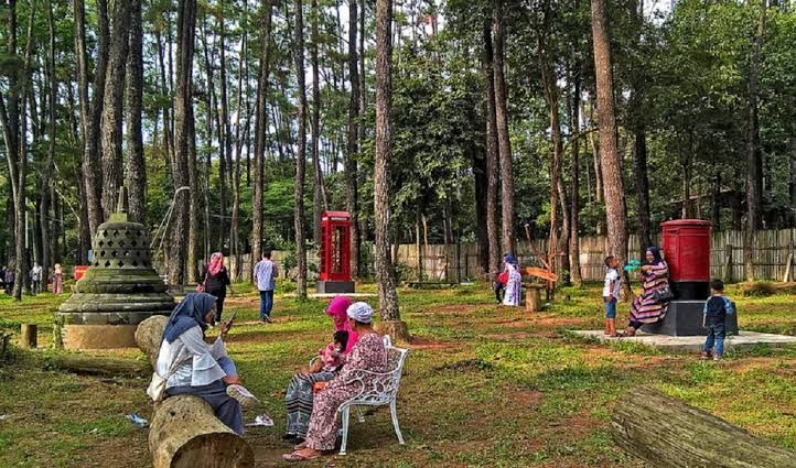 wisata alam hutan punti kayu